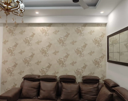 Looking for apartments to rent in Noida Extension?